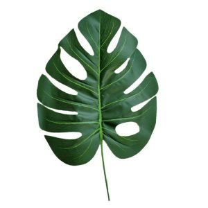 Decorative Monstera Leaf
