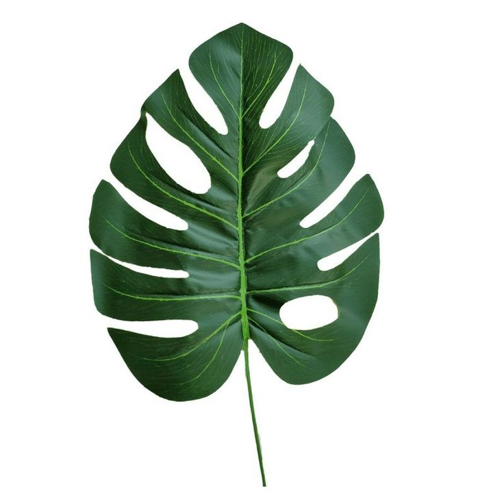 Decorative Monstera Leaf