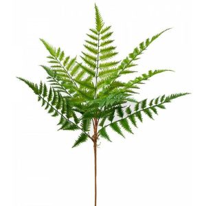 Decorative Fern Spray